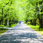 リピート仕入れの強化